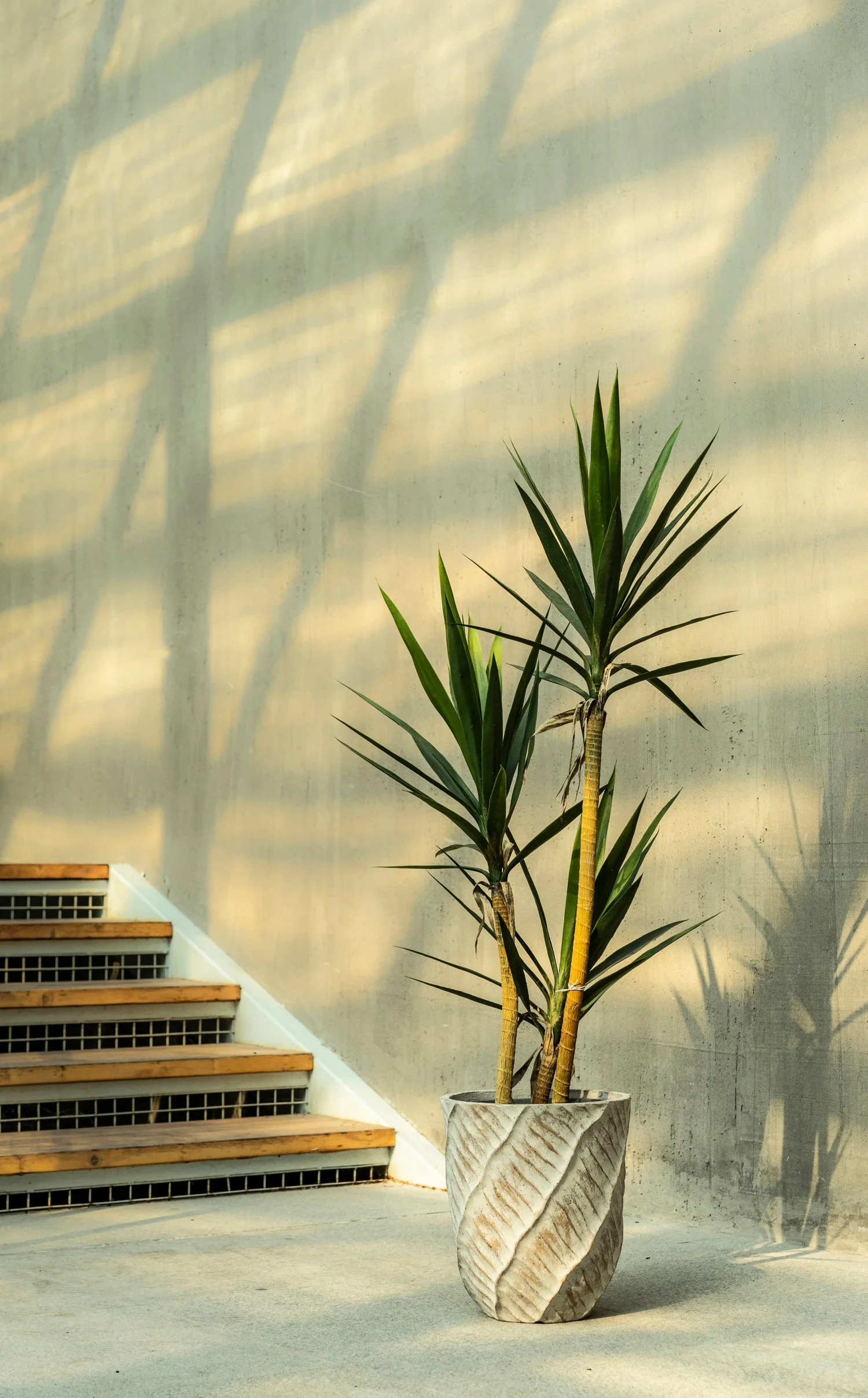 Appearance and Aesthetics of round plant pots