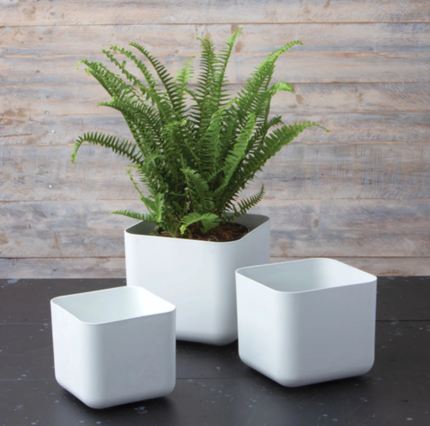 Appearance and Aesthetics of square plant pots