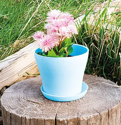 Plastic Flower Pot