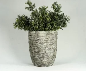 什么样的花盆最适合植物生长