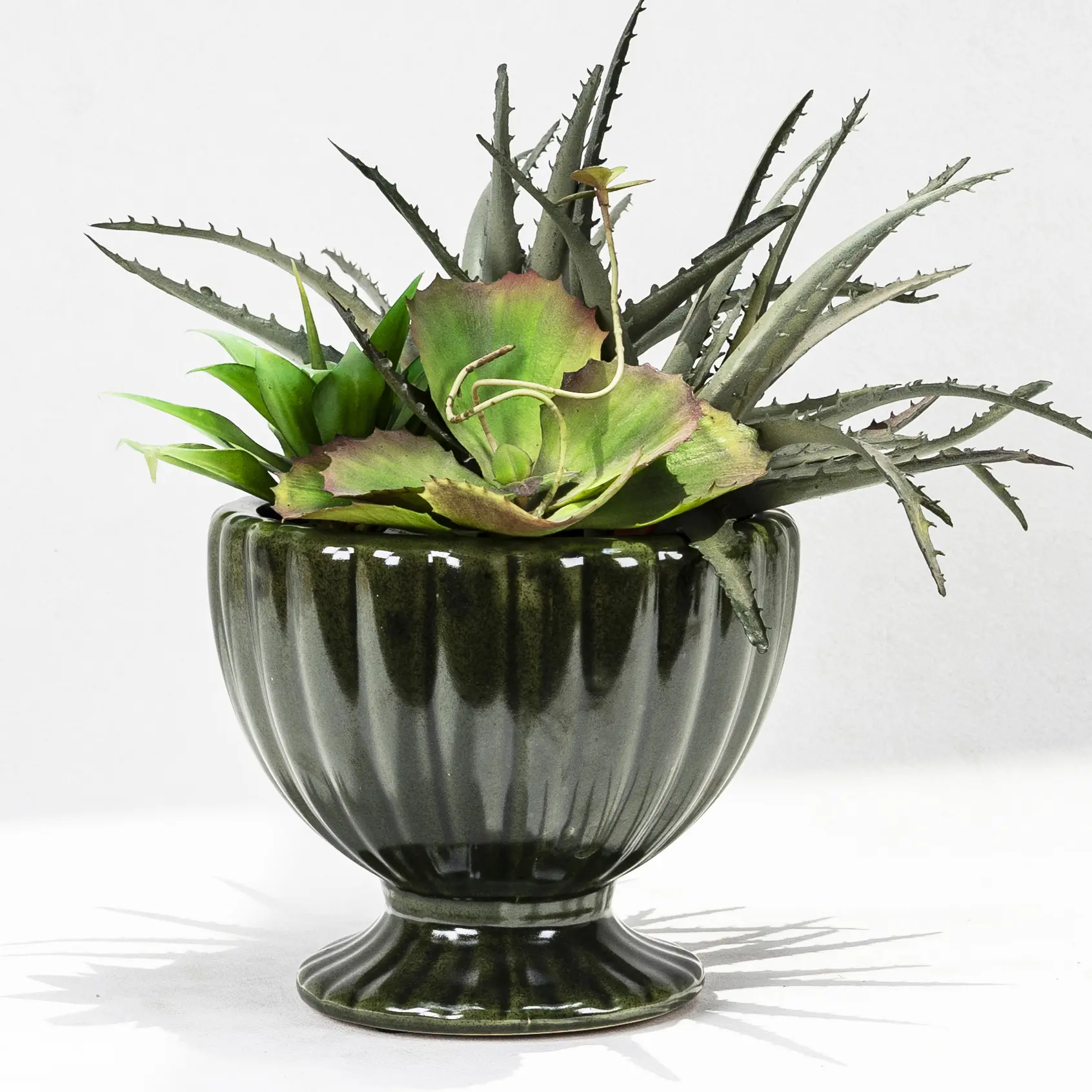 Wholesale bowl-shaped ceramic plant pots (4)