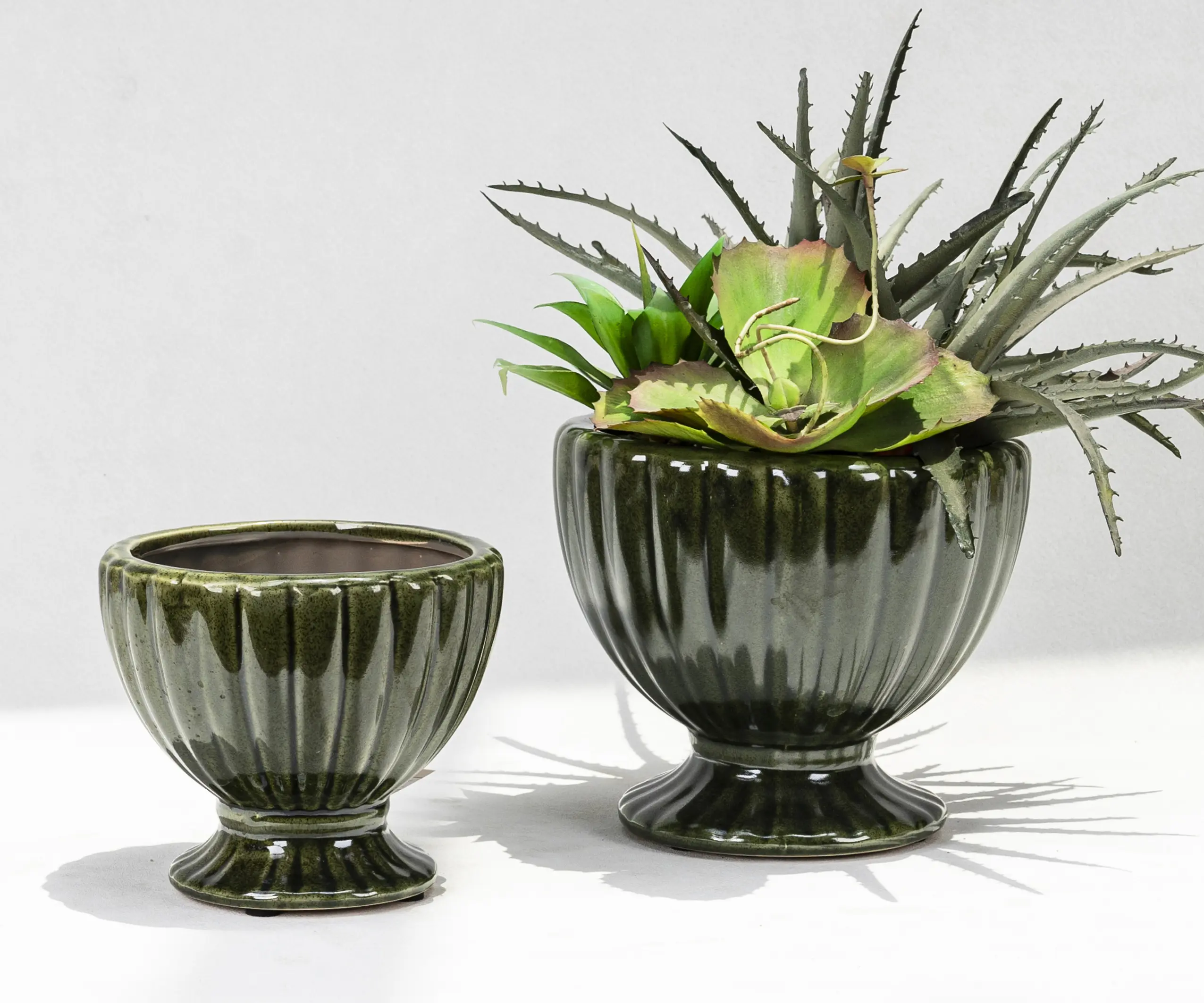 Wholesale bowl-shaped ceramic plant pots (5)
