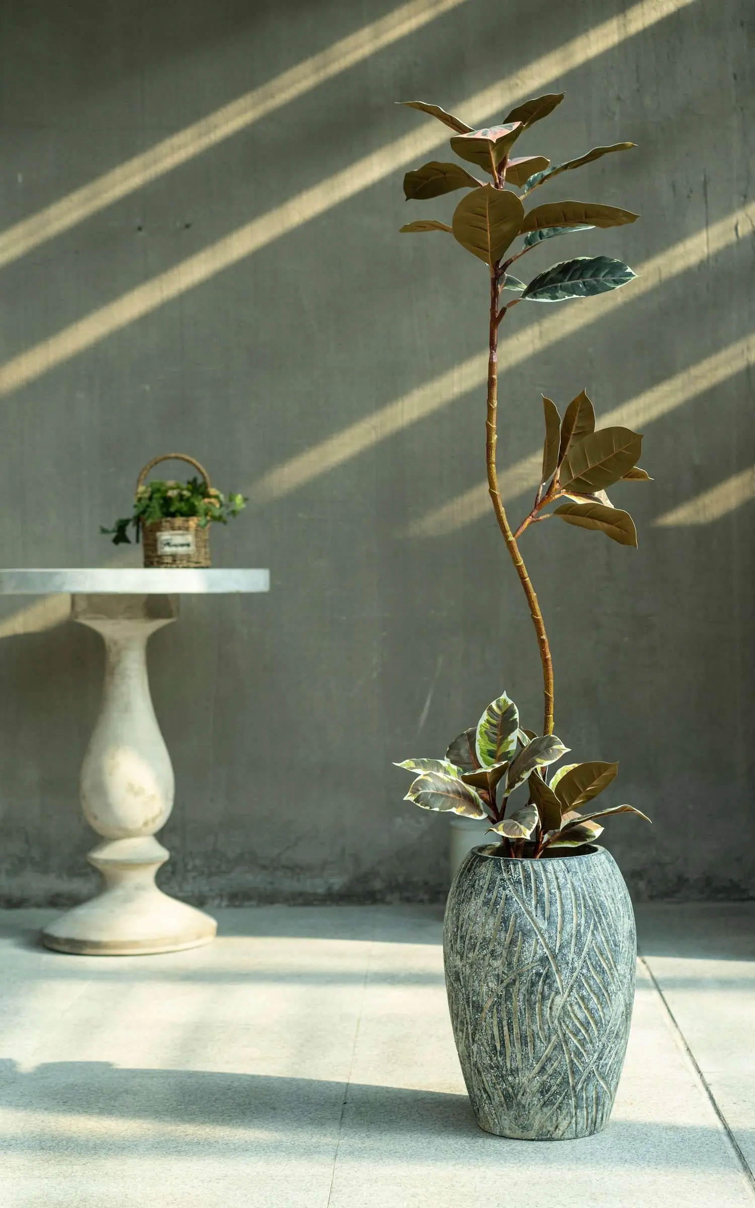 Fiber cement plant pot 