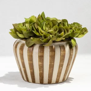 批发条纹花盆 (1)