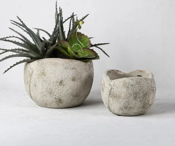 bulk ceramic planters for succulents (1)
