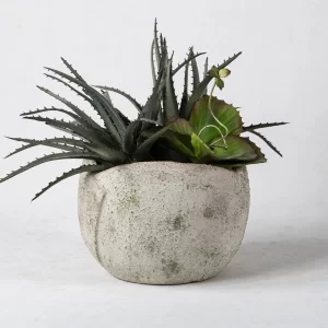 Keramik-Pflanzgefäße für Sukkulenten (2)