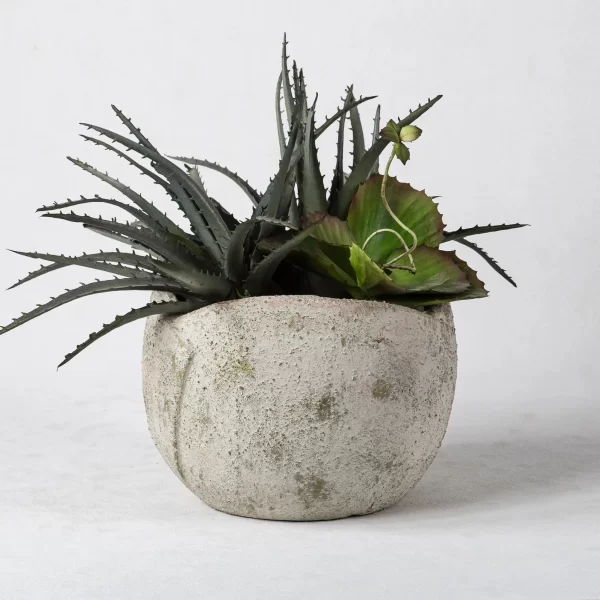 jardinières en céramique en vrac pour succulentes (2)