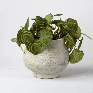 陶瓷花盆批发 (2)