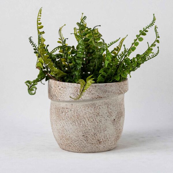 Wholesale Terra Cotta Plant Pots - Vertical Textures & Natural Patina